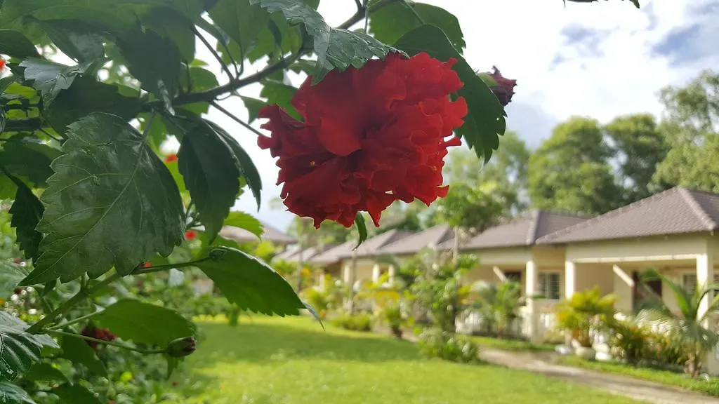 **  The Moonflower Bungalow Hotel Sihanoukville Cambodia